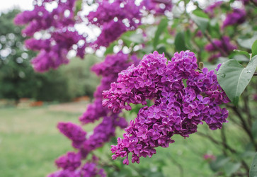 Similar image 21462616