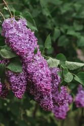 Similar image 21462617