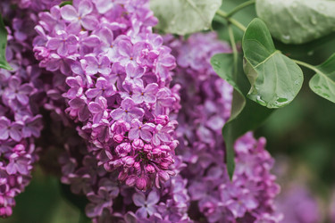 Similar image 21462619