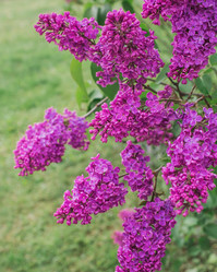 Similar image 21462620