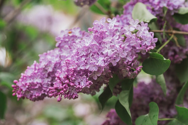 Similar image 21462621