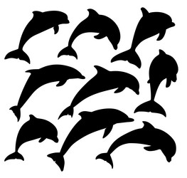 Similar image 21462705