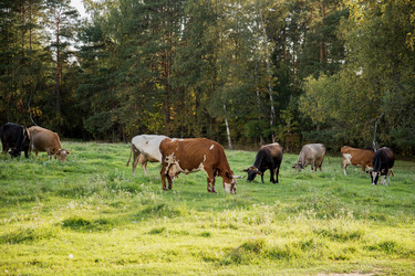 Similar image 21467417