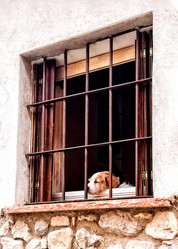 Similar image 21467418