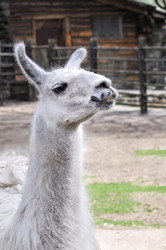 Similar image 21465829