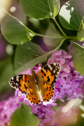 Similar image 21465832