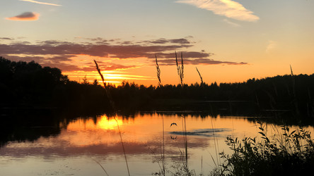 Similar image 21465834