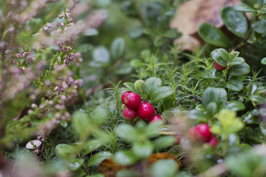 Similar image 21465835