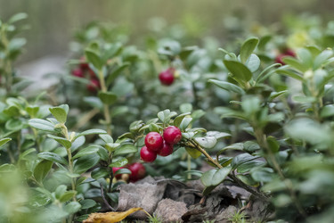 Similar image 21465836