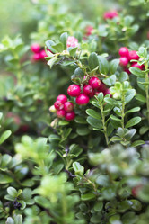 Similar image 21465837