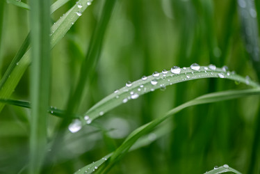 Similar image 21465839