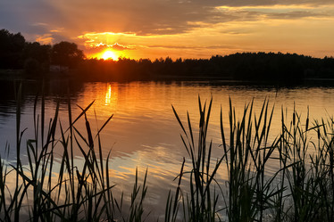 Similar image 21467425