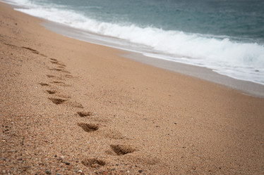 Similar image 21465842