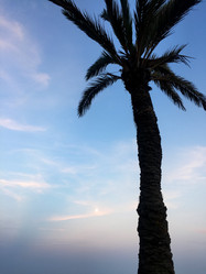 Similar image 21465845