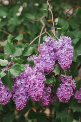 Similar image 21463699