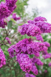 Similar image 21463700