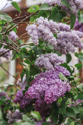 Similar image 21463701