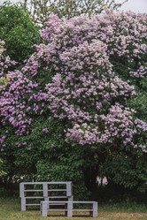 Similar image 21463708