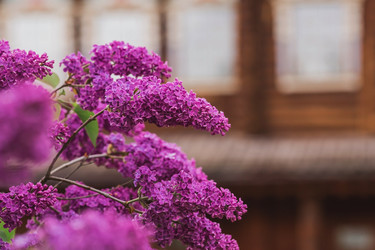 Similar image 21463714