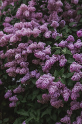 Similar image 21463716