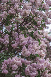 Similar image 21463717