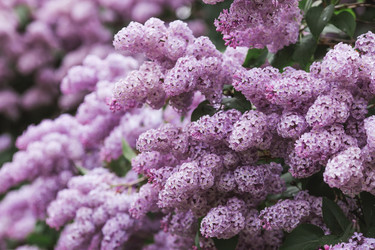 Similar image 21463720