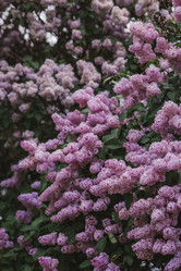 Similar image 21463721