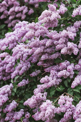 Similar image 21463722