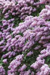 Similar image 21463724