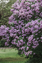 Similar image 21463725