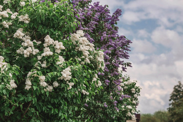 Similar image 21463726