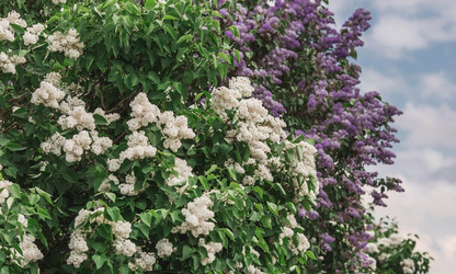 Similar image 21463729