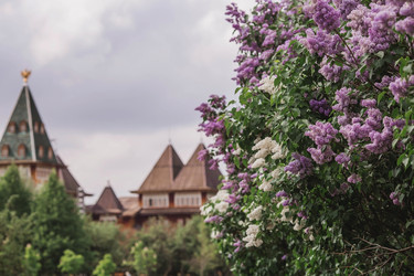 Similar image 21463731