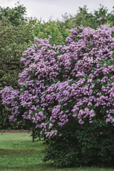 Similar image 21463735