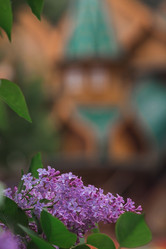 Similar image 21463742