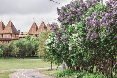 Similar image 21463746