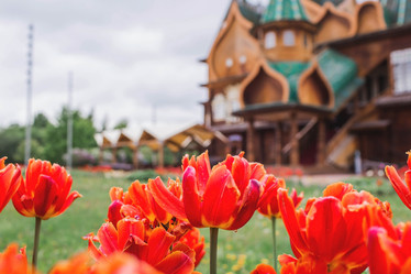 Similar image 21463749