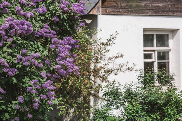 Similar image 21463750