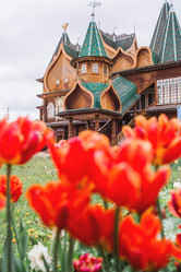 Similar image 21463753