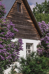 Similar image 21463754