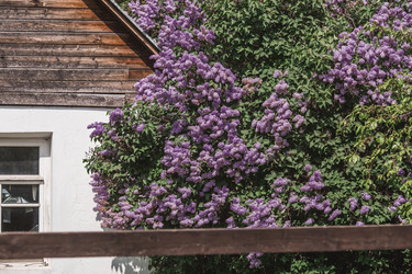 Similar image 21463756