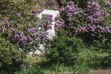 Similar image 21463760