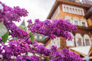 Similar image 21463763