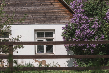 Similar image 21463764