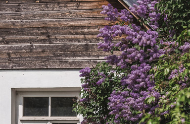 Similar image 21463766