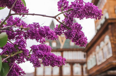 Similar image 21463769