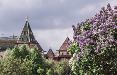 Similar image 21463770