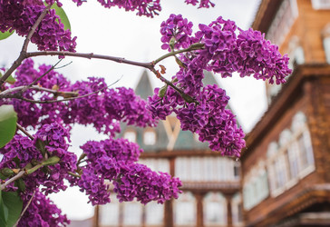 Similar image 21463772