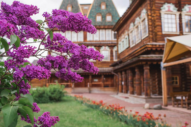 Similar image 21463778