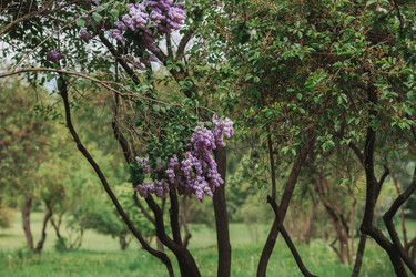 Similar image 21463782